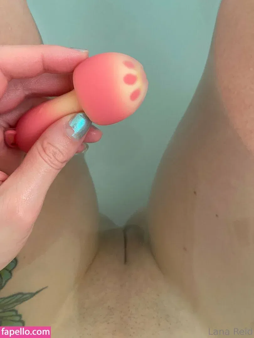 lanareid10 / lanareidishere Onlyfans Photo Gallery 