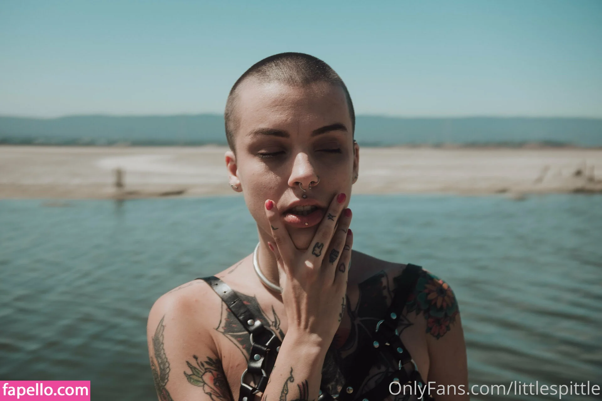 lilspittle / littlespittle Onlyfans Photo Gallery 