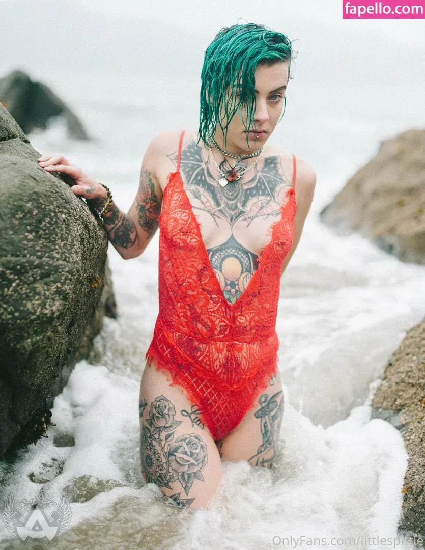 lilspittle / littlespittle Onlyfans Photo Gallery 