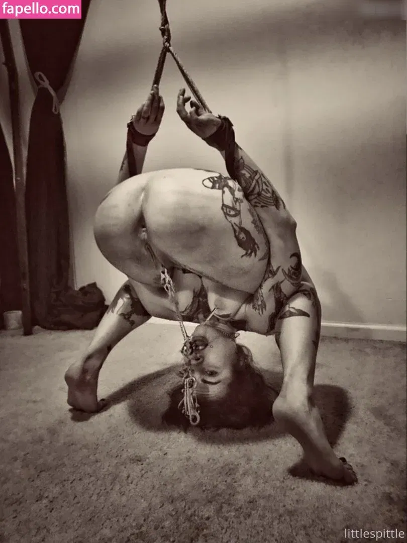 lilspittle / littlespittle Onlyfans Photo Gallery 