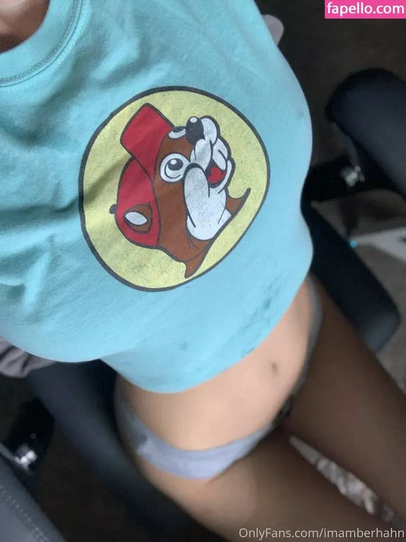 Amber Hahn / ImAmberHahn / amber_._hahn Onlyfans Photo Gallery 