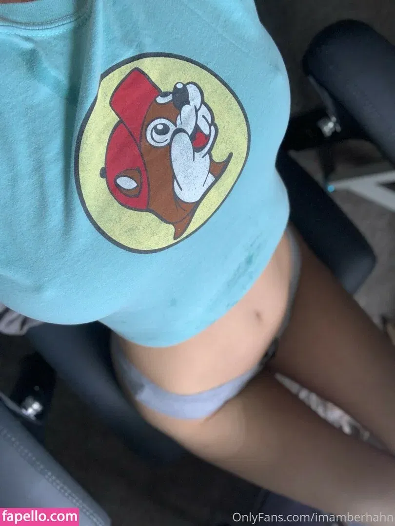 Amber Hahn / ImAmberHahn / amber_._hahn Onlyfans Photo Gallery 