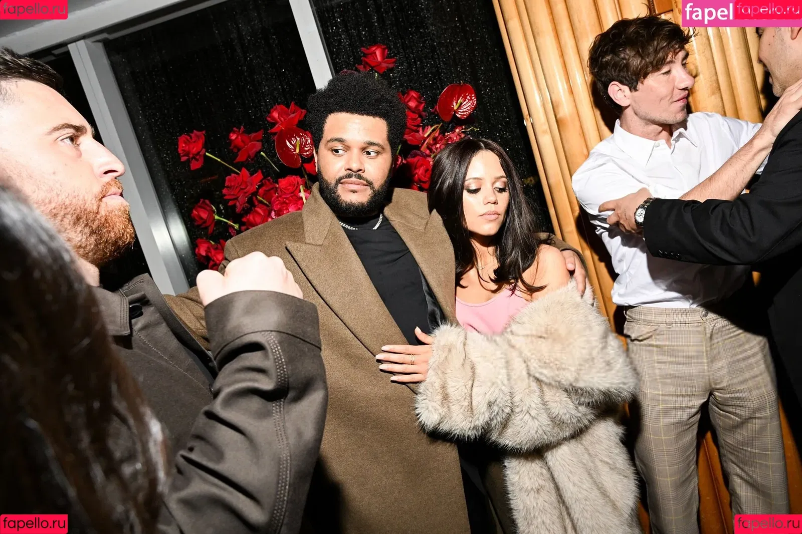 Jenna Ortega / Page / jennaortega / ortega_jenna Onlyfans Photo Gallery 