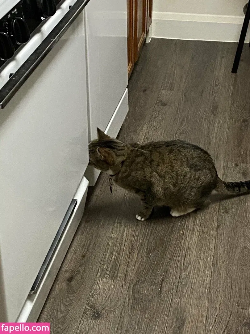 _daphnide_ / dishonestpudding Onlyfans Photo Gallery 