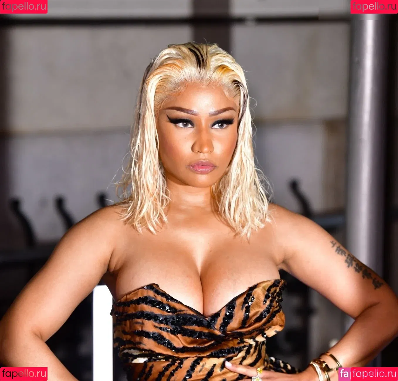 Nicki Minaj / nickiminaj Onlyfans Photo Gallery 