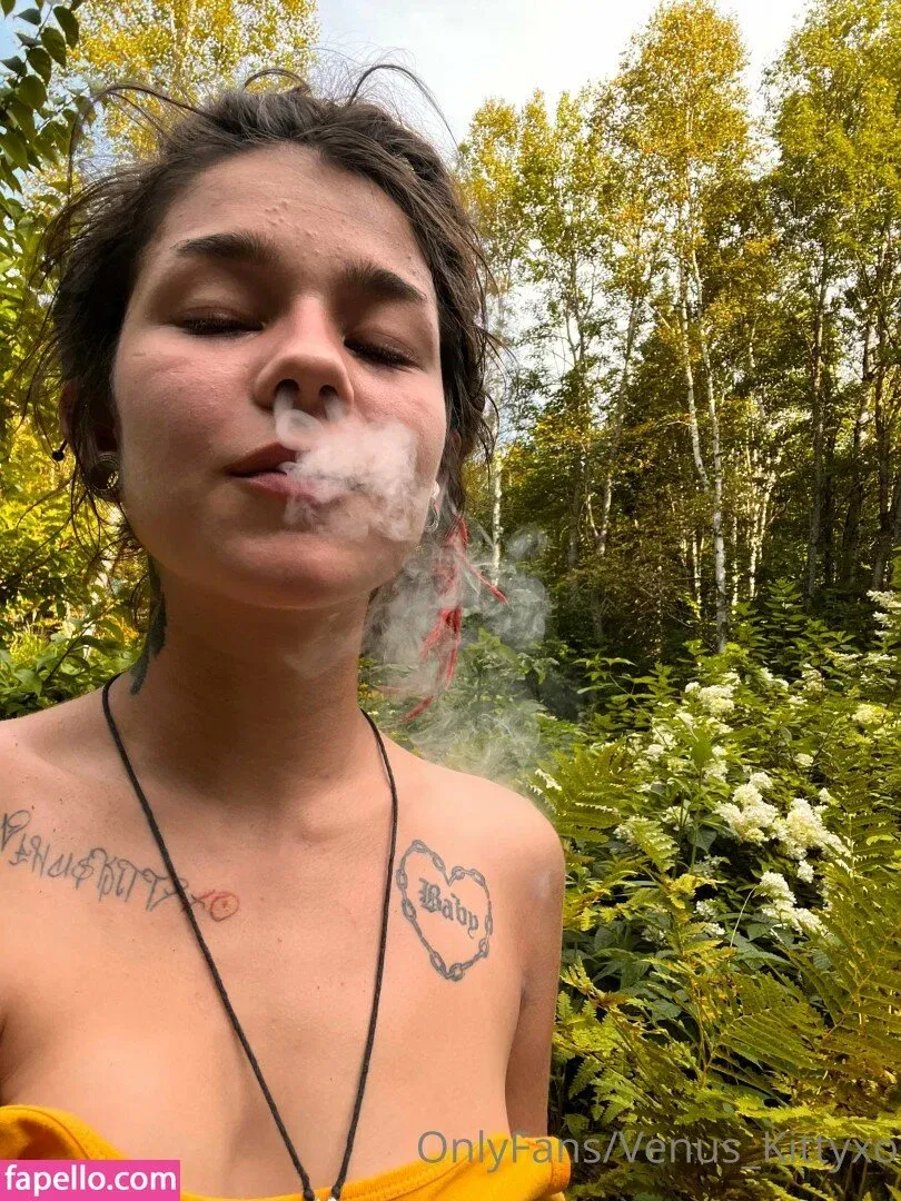 venus_kittyxo / venuskittyxo2.0 Onlyfans Photo Gallery 