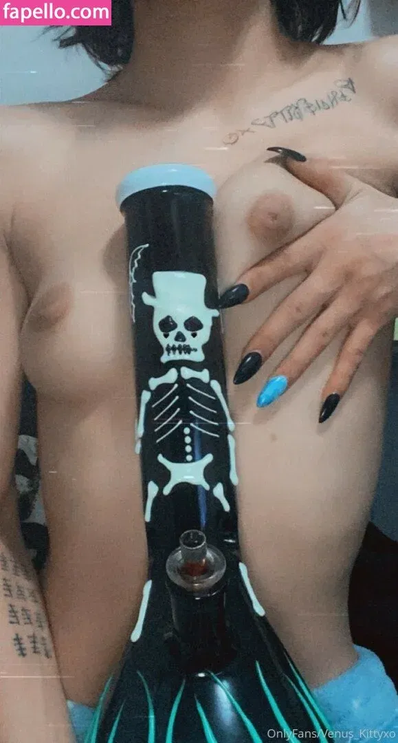 venus_kittyxo / venuskittyxo2.0 Onlyfans Photo Gallery 