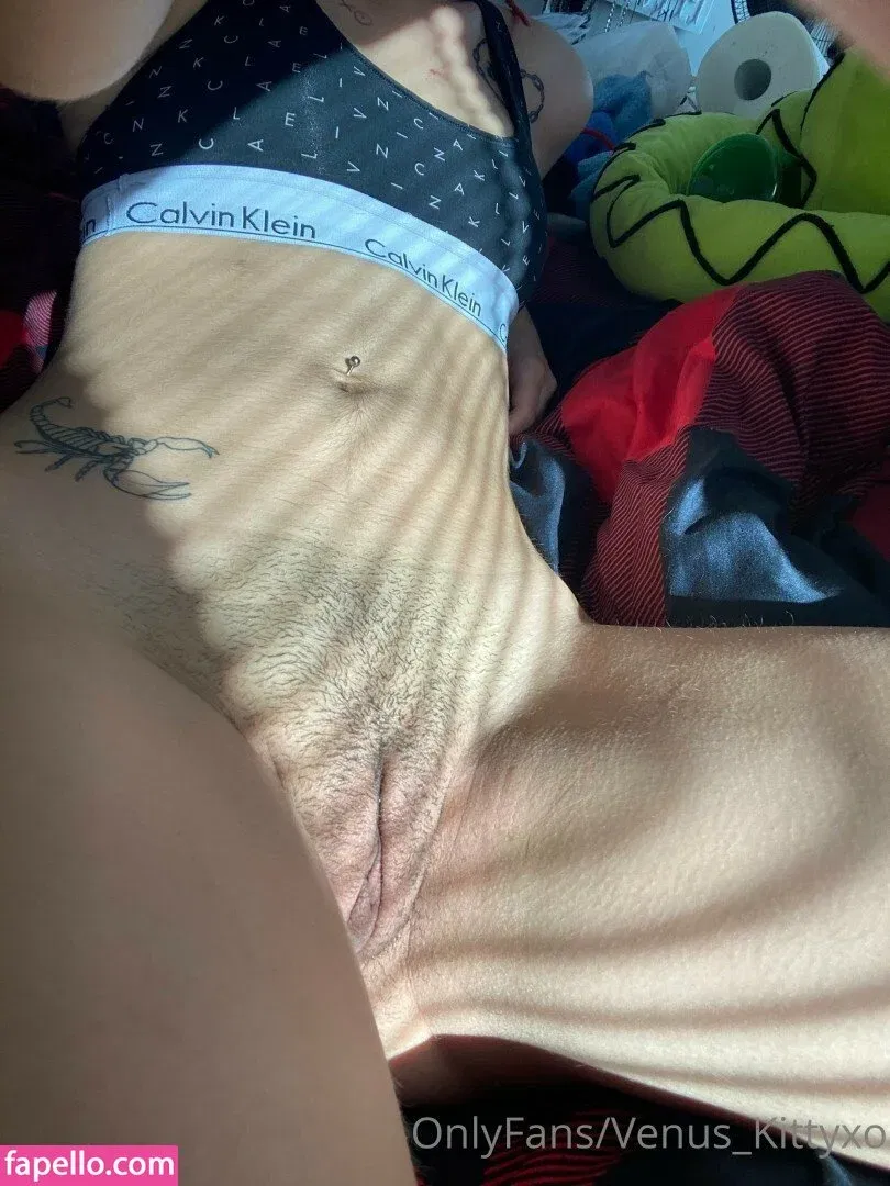 venus_kittyxo / venuskittyxo2.0 Onlyfans Photo Gallery 