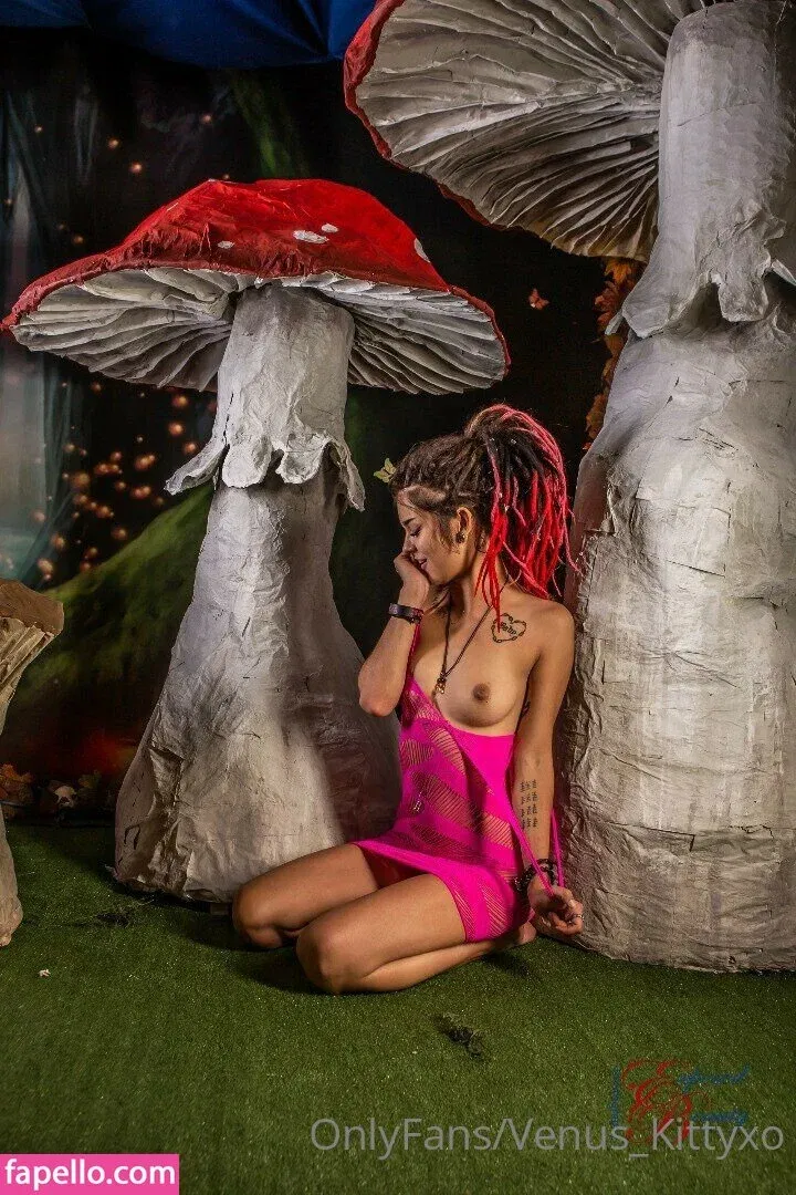 venus_kittyxo / venuskittyxo2.0 Onlyfans Photo Gallery 