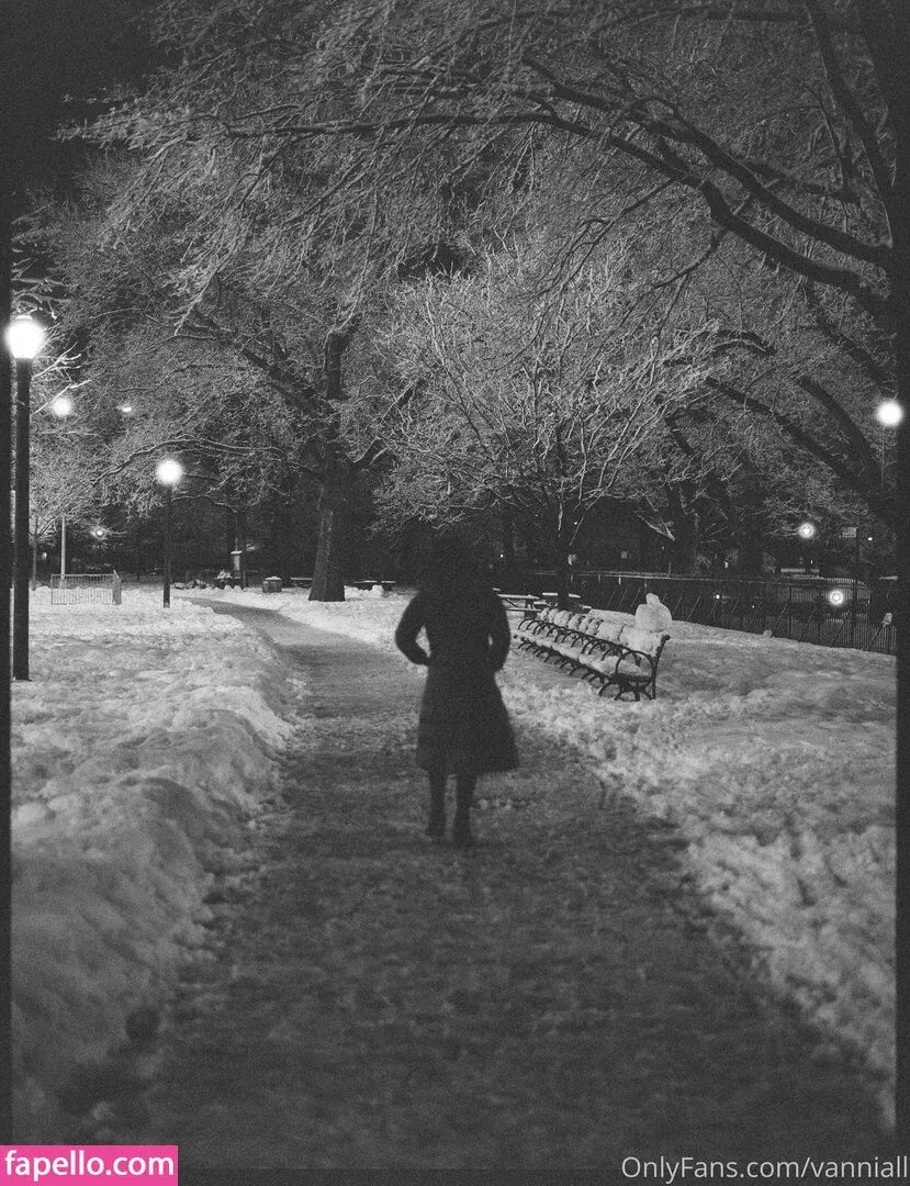 Vanniall / vannialll Onlyfans Photo Gallery 