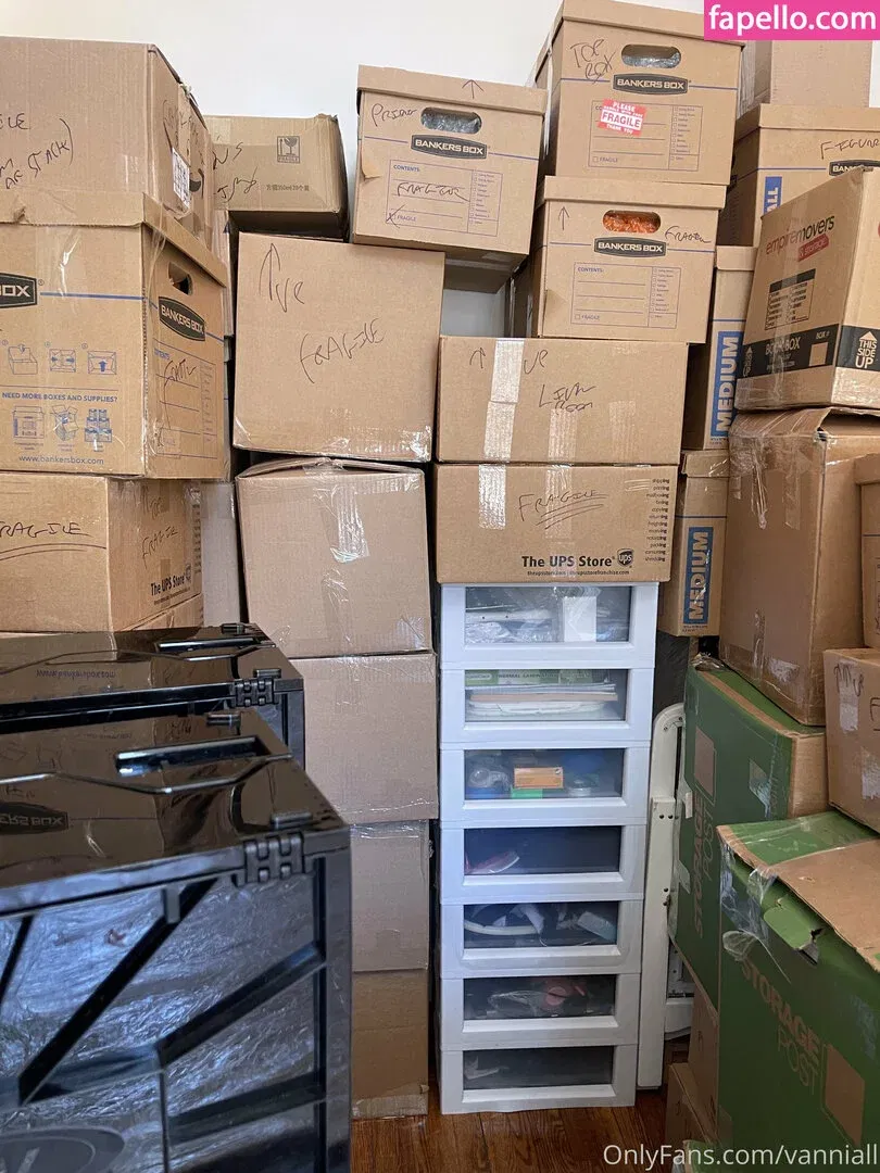 Vanniall / vannialll Onlyfans Photo Gallery 