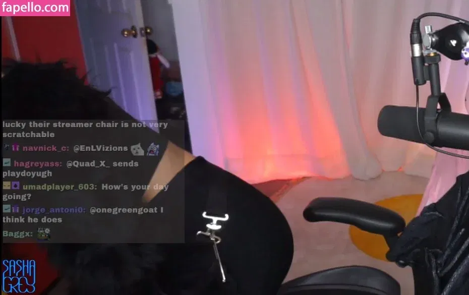 Sasha Grey / sashagrey / sashathegreyt Onlyfans Photo Gallery 