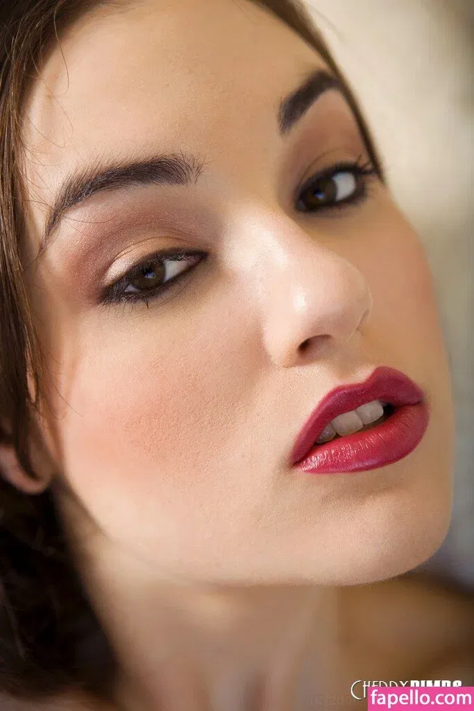 Sasha Grey / sashagrey / sashathegreyt Onlyfans Photo Gallery 