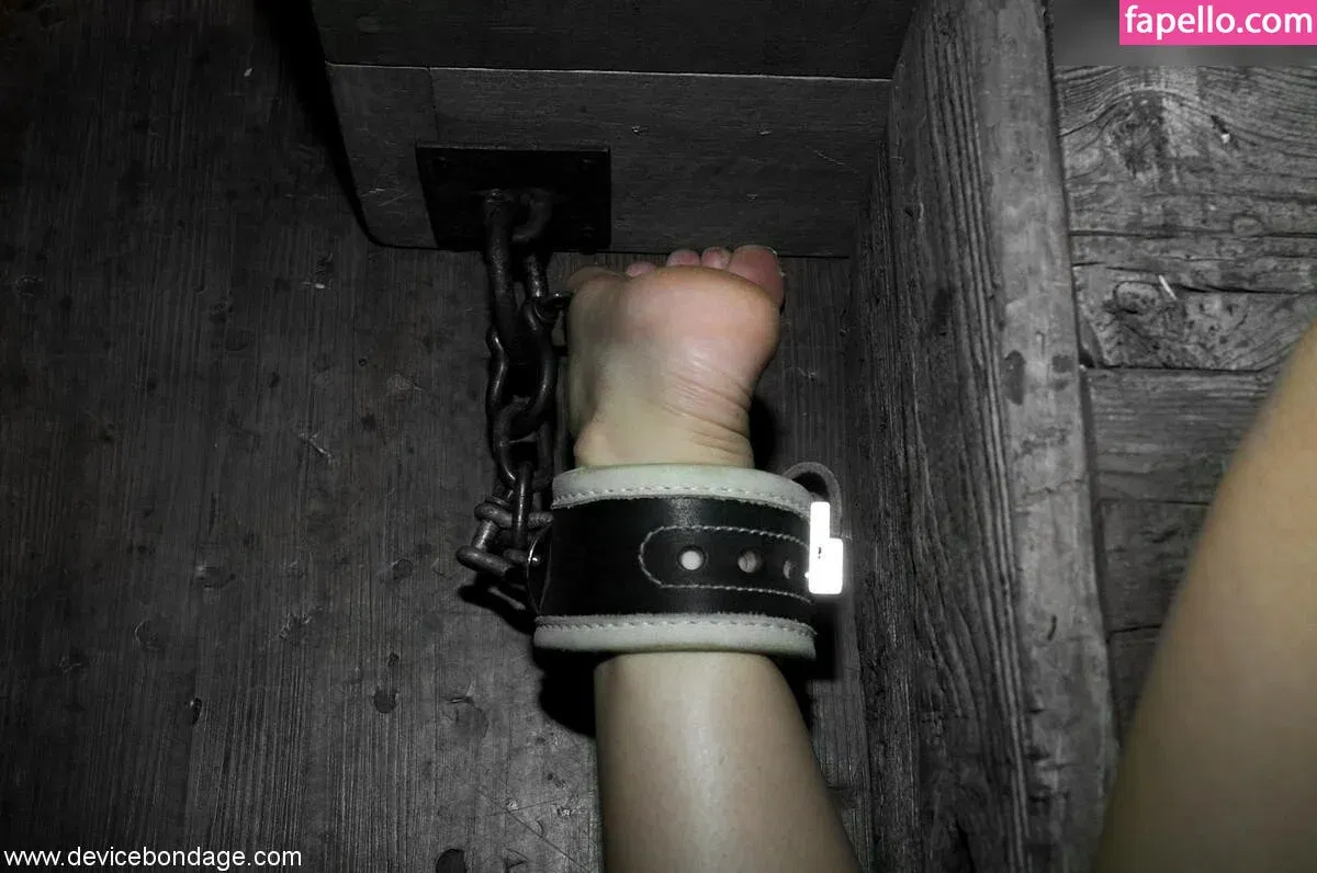 Sasha Grey / sashagrey / sashathegreyt Onlyfans Photo Gallery 