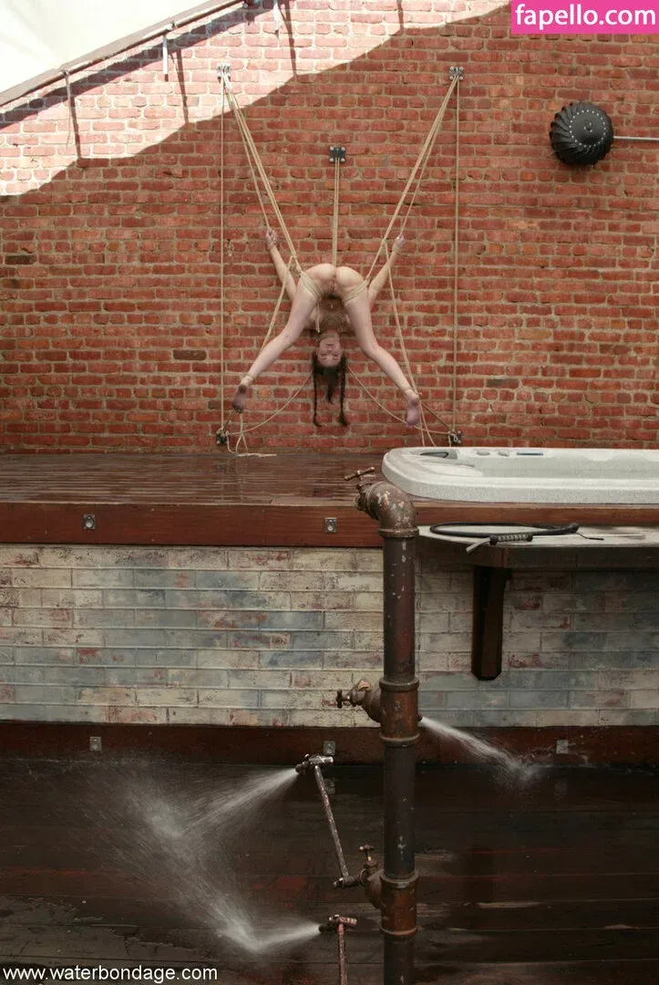 Sasha Grey / sashagrey / sashathegreyt Onlyfans Photo Gallery 