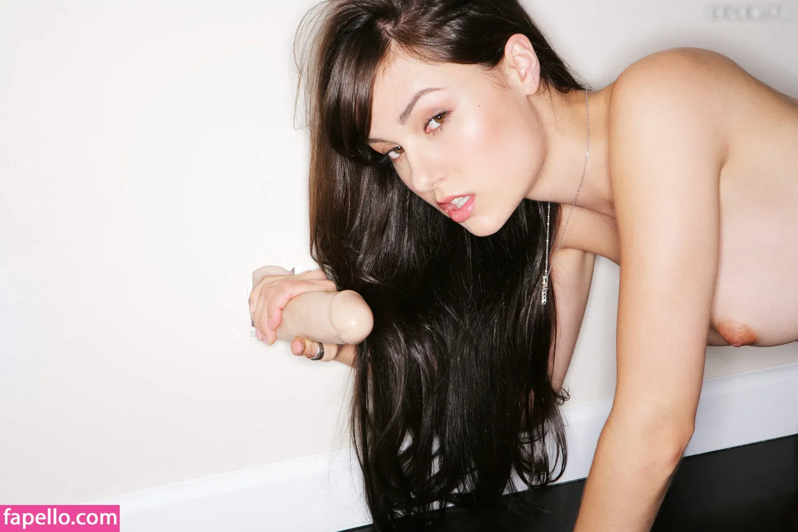 Sasha Grey / sashagrey / sashathegreyt Onlyfans Photo Gallery 