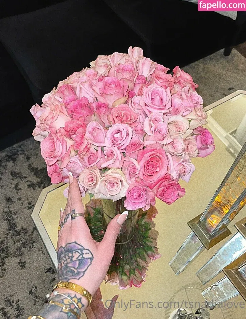 iamtrishajames / tsnadialove Onlyfans Photo Gallery 