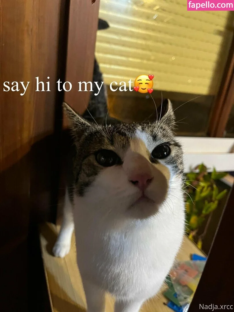 bunnynadja / hana.bunny_bunny Onlyfans Photo Gallery 