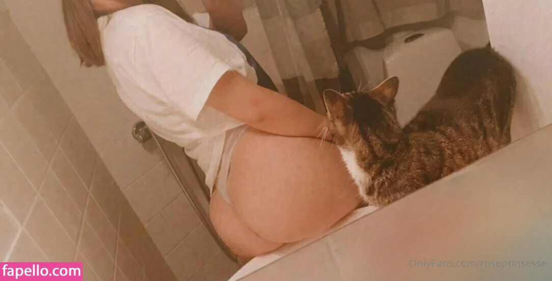 _roseprincess_05 / roseprinsesse Onlyfans Photo Gallery 