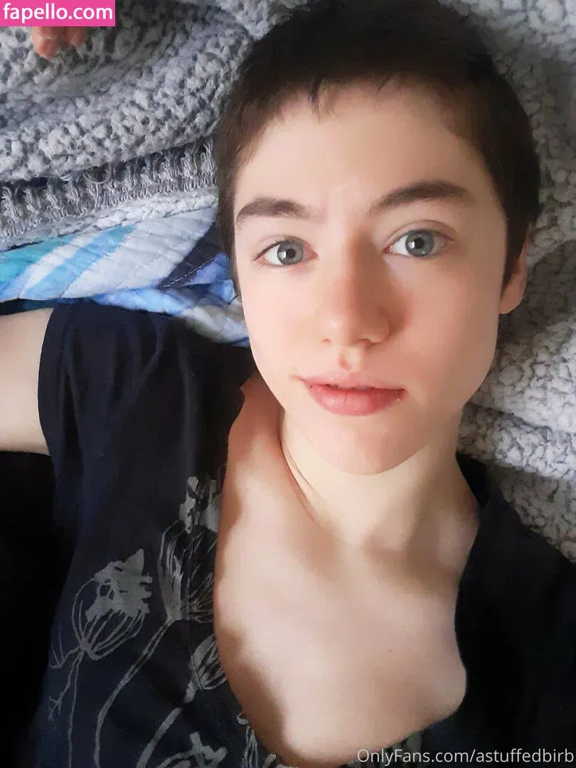 astuffedbirb / birdyinstagram Onlyfans Photo Gallery 