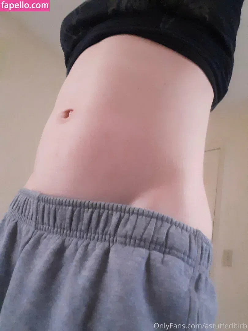 astuffedbirb / birdyinstagram Onlyfans Photo Gallery 