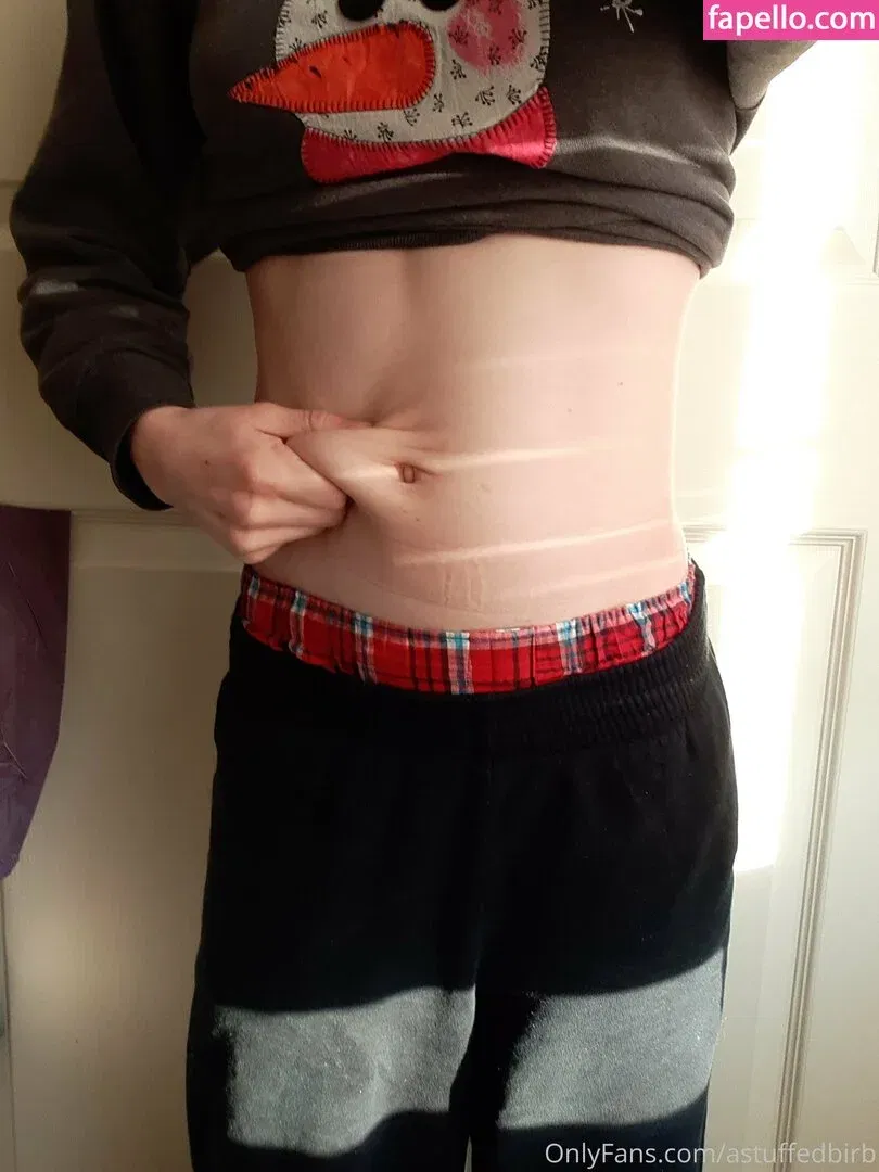 astuffedbirb / birdyinstagram Onlyfans Photo Gallery 