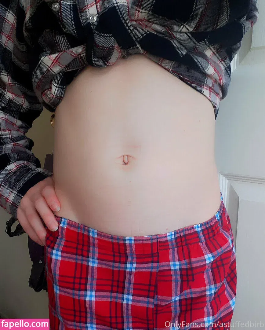 astuffedbirb / birdyinstagram Onlyfans Photo Gallery 