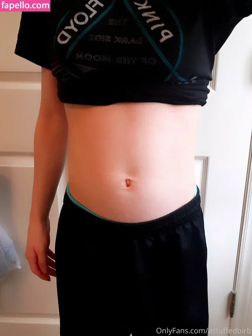 astuffedbirb / birdyinstagram Onlyfans Photo Gallery 