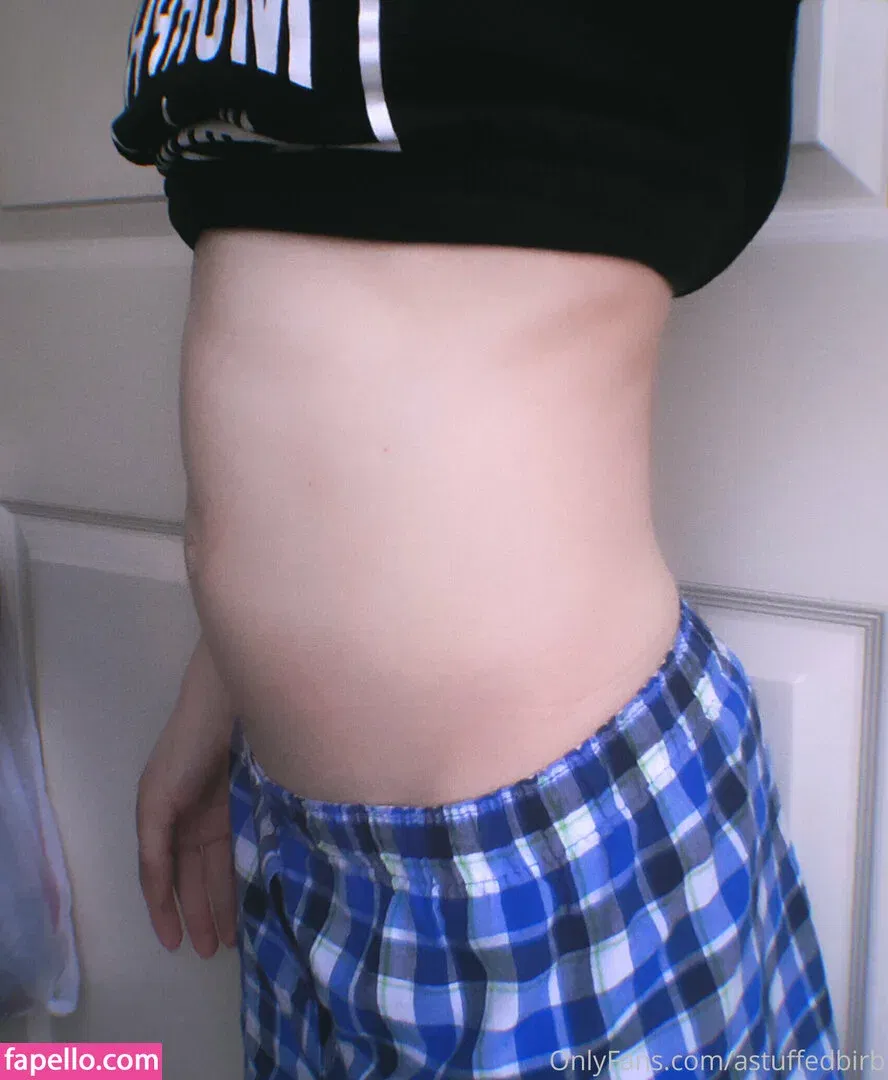 astuffedbirb / birdyinstagram Onlyfans Photo Gallery 