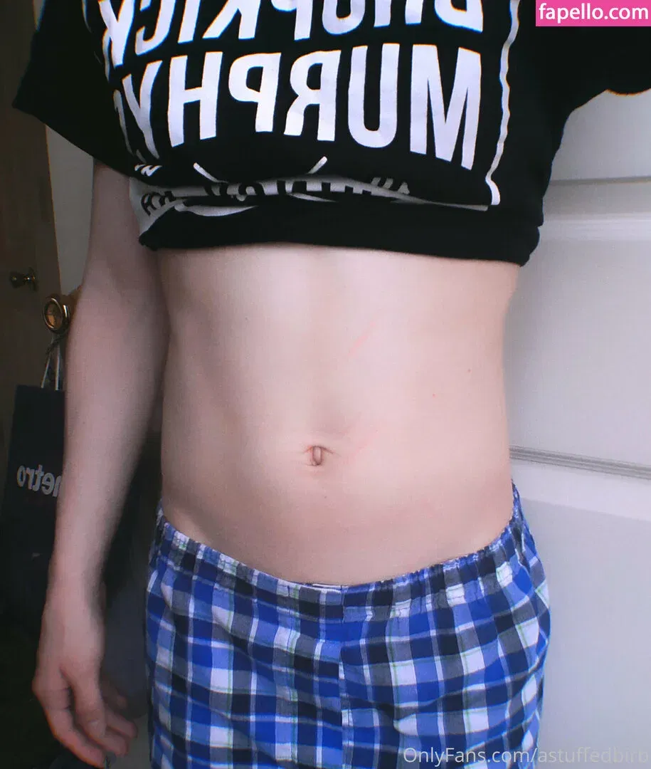 astuffedbirb / birdyinstagram Onlyfans Photo Gallery 