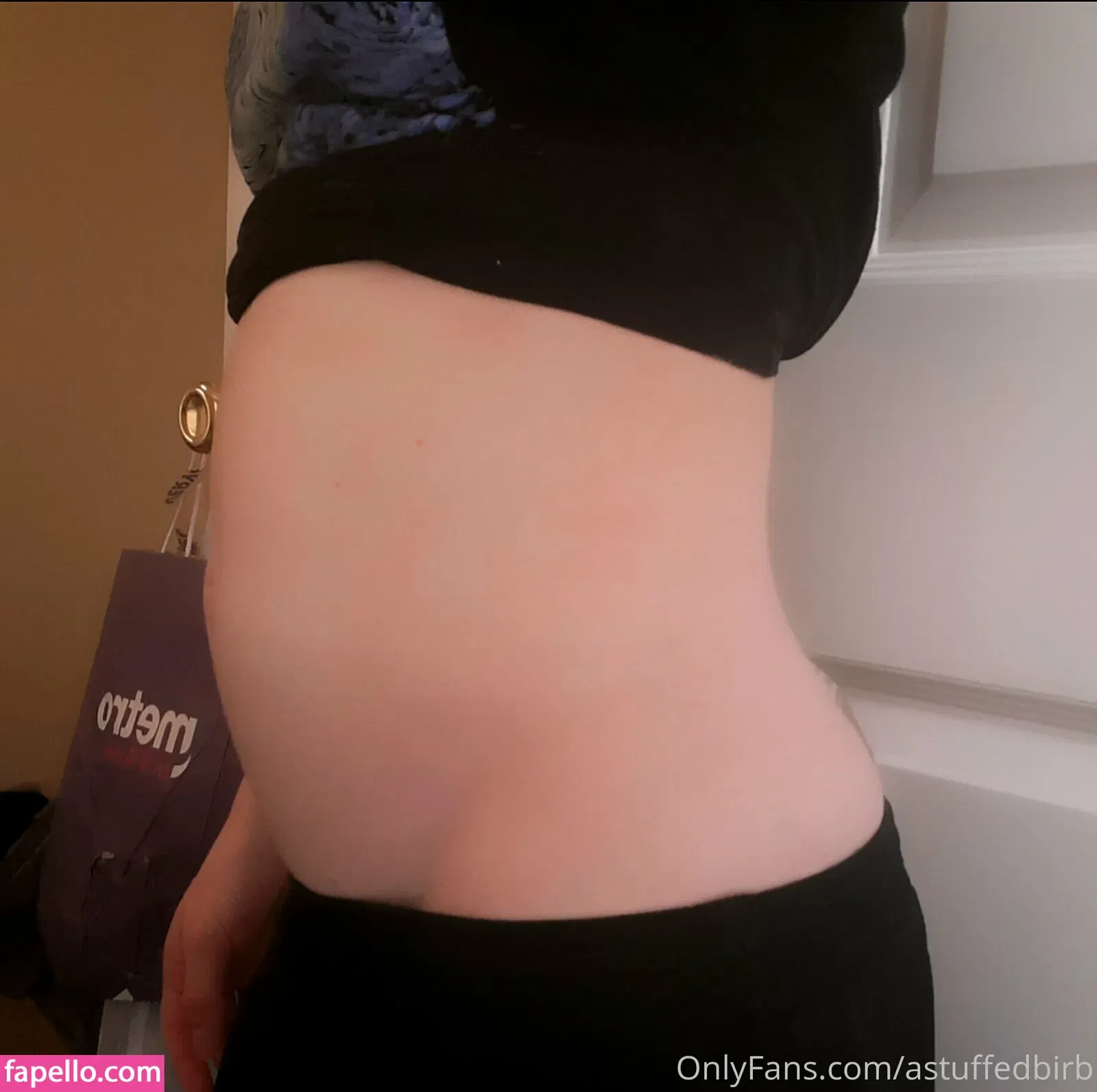 astuffedbirb / birdyinstagram Onlyfans Photo Gallery 