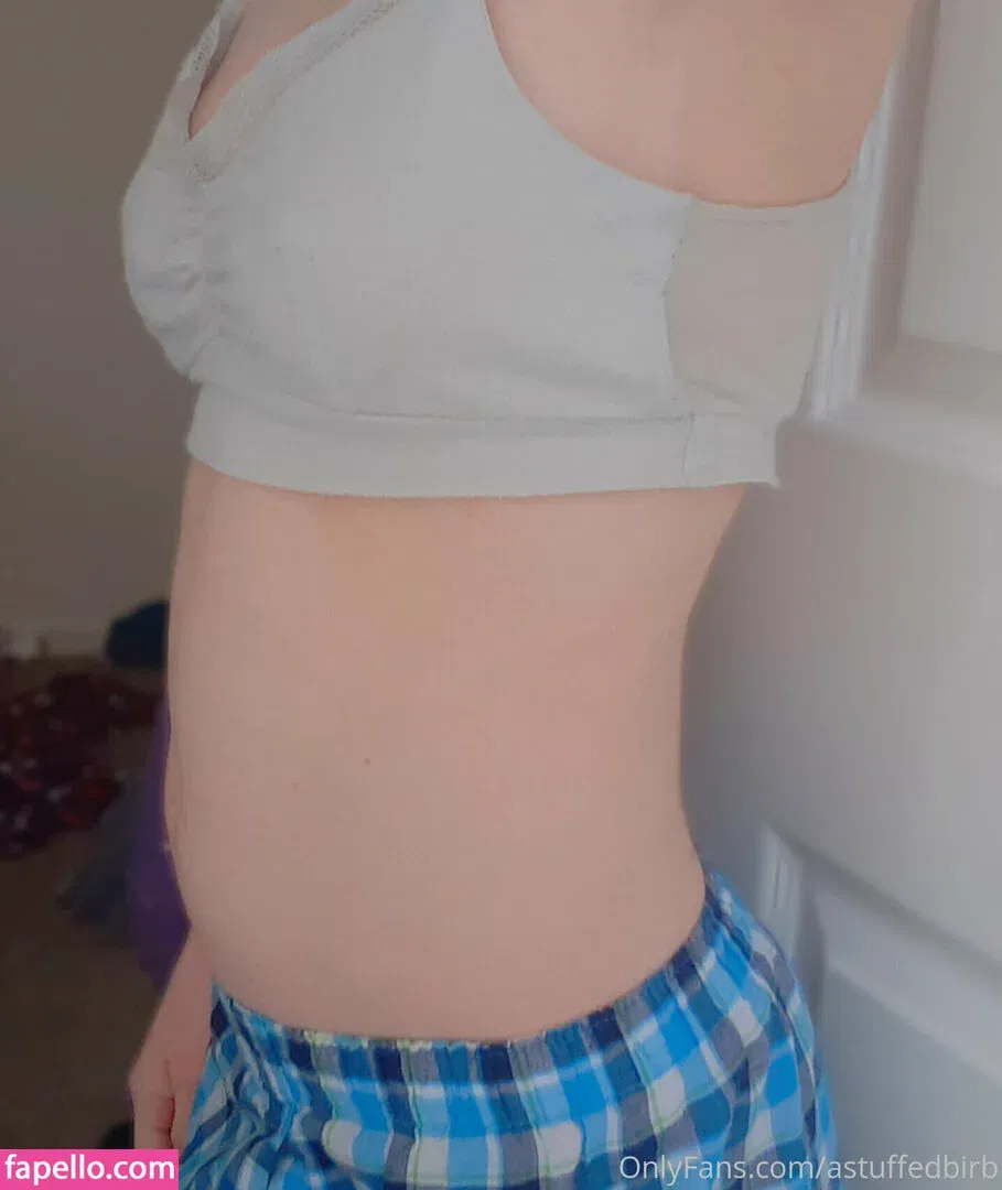 astuffedbirb / birdyinstagram Onlyfans Photo Gallery 