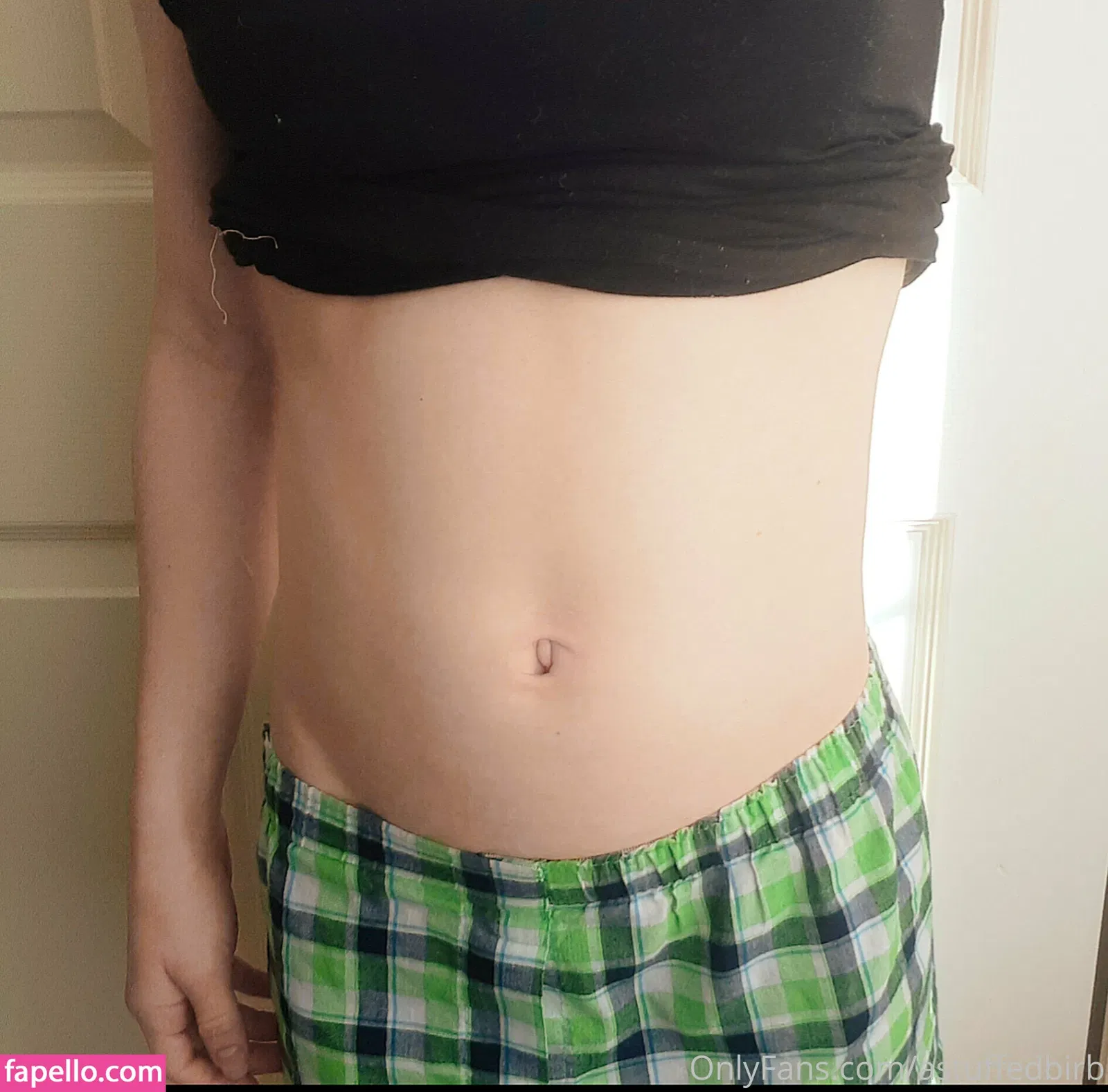 astuffedbirb / birdyinstagram Onlyfans Photo Gallery 