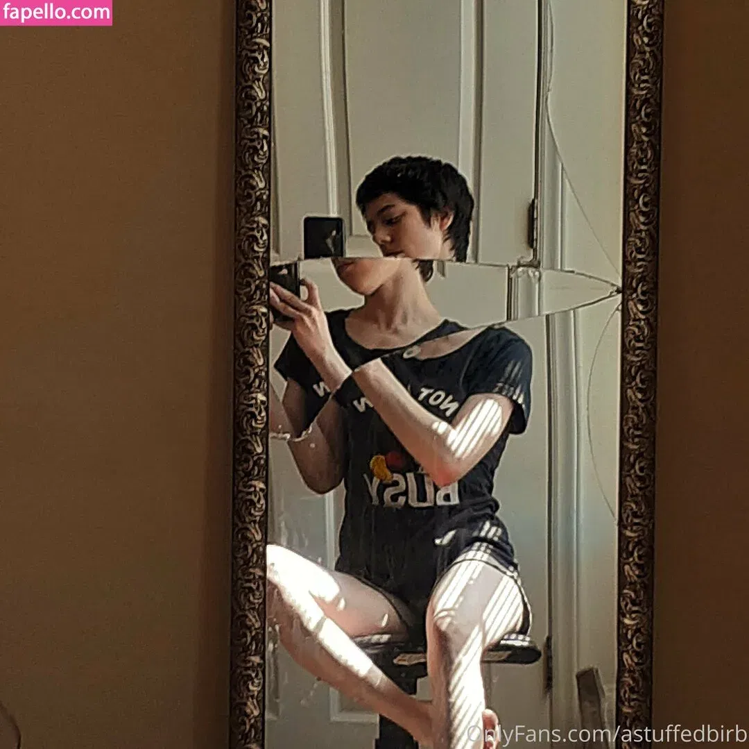 astuffedbirb / birdyinstagram Onlyfans Photo Gallery 