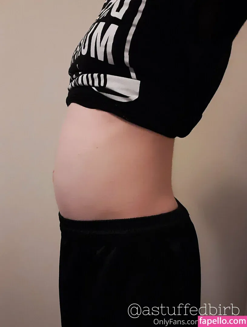 astuffedbirb / birdyinstagram Onlyfans Photo Gallery 