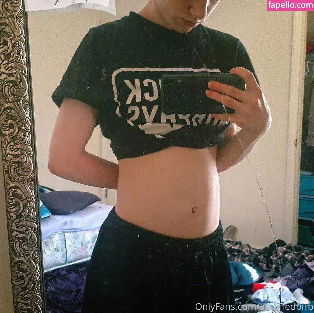 astuffedbirb / birdyinstagram Onlyfans Photo Gallery 