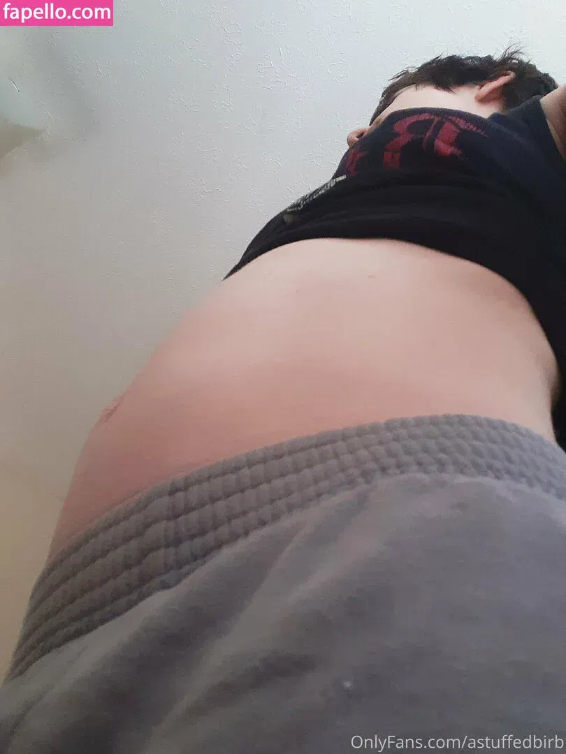 astuffedbirb / birdyinstagram Onlyfans Photo Gallery 