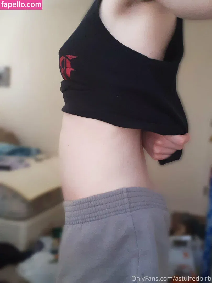 astuffedbirb / birdyinstagram Onlyfans Photo Gallery 