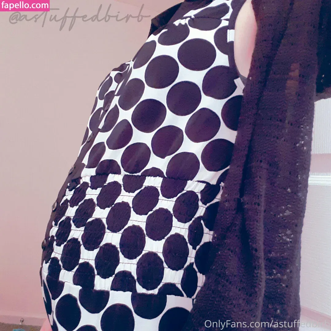 astuffedbirb / birdyinstagram Onlyfans Photo Gallery 