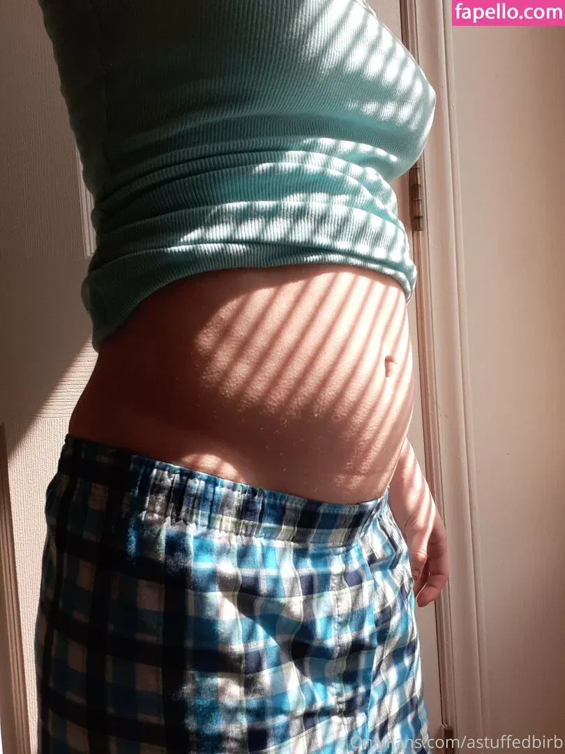 astuffedbirb / birdyinstagram Onlyfans Photo Gallery 