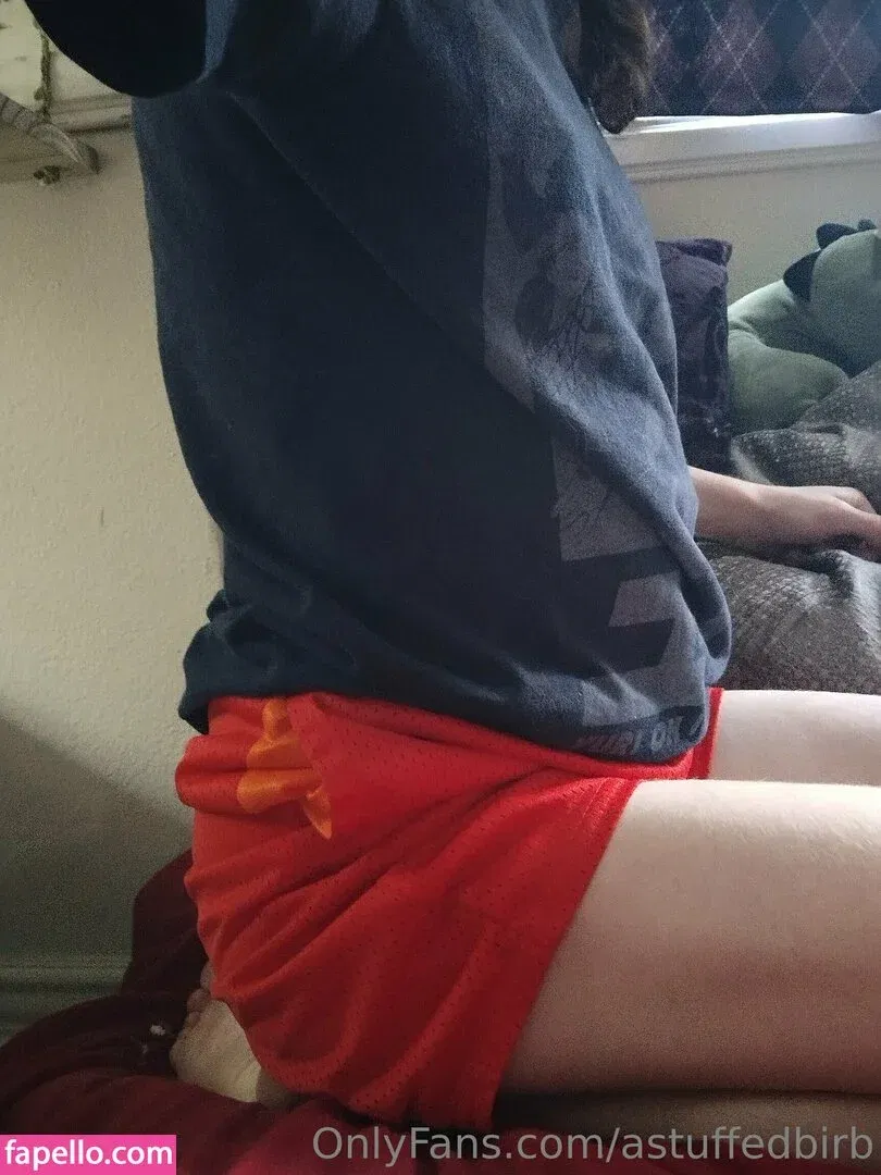 astuffedbirb / birdyinstagram Onlyfans Photo Gallery 