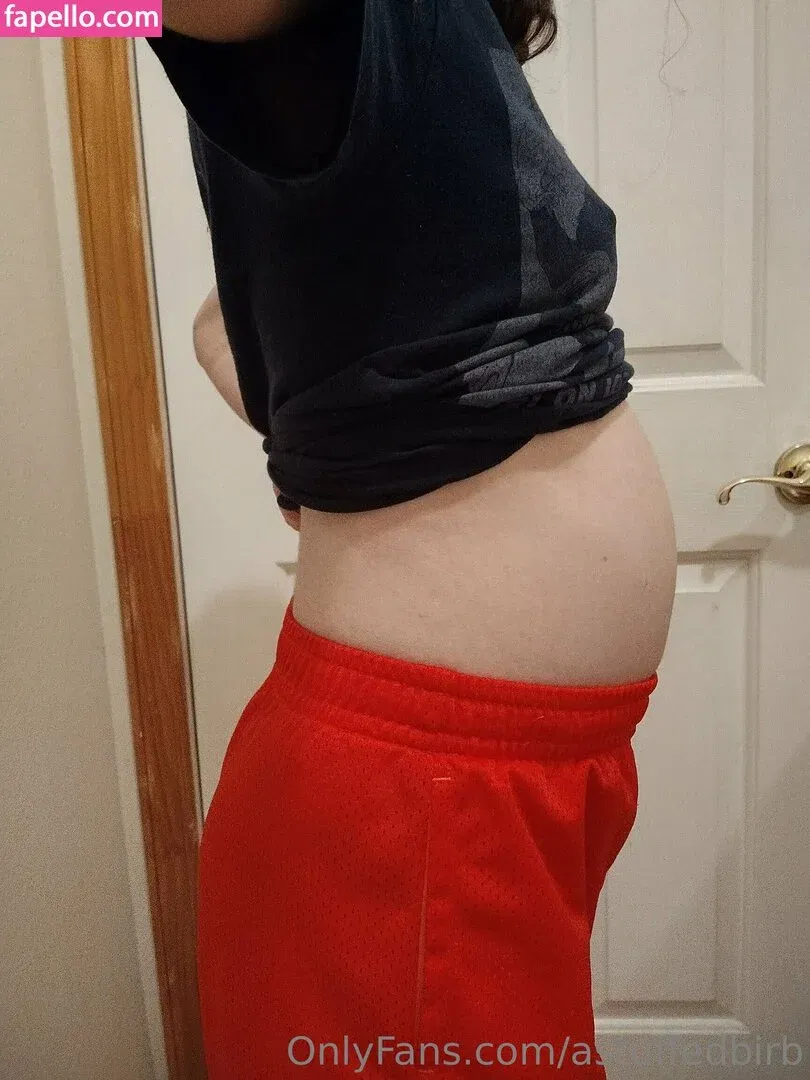 astuffedbirb / birdyinstagram Onlyfans Photo Gallery 