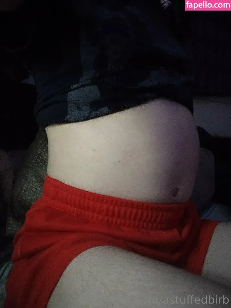 astuffedbirb / birdyinstagram Onlyfans Photo Gallery 