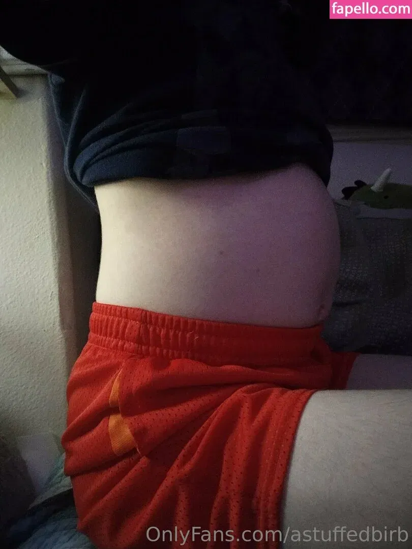 astuffedbirb / birdyinstagram Onlyfans Photo Gallery 