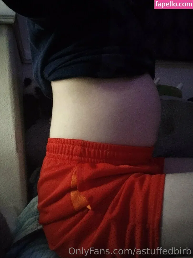 astuffedbirb / birdyinstagram Onlyfans Photo Gallery 