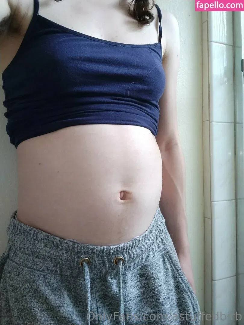 astuffedbirb / birdyinstagram Onlyfans Photo Gallery 