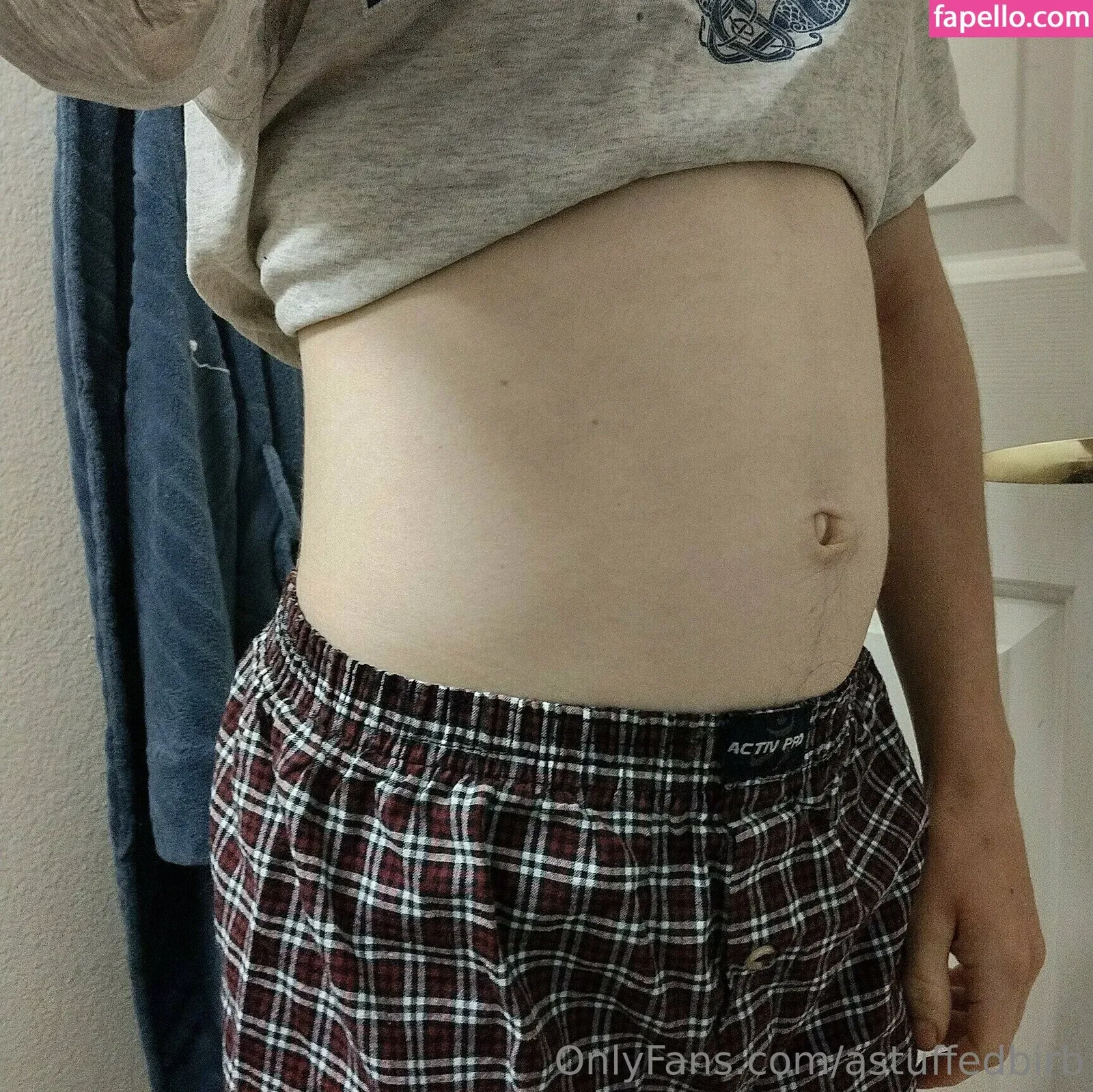 astuffedbirb / birdyinstagram Onlyfans Photo Gallery 