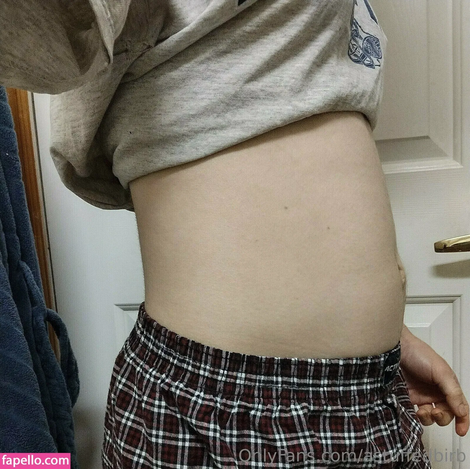 astuffedbirb / birdyinstagram Onlyfans Photo Gallery 