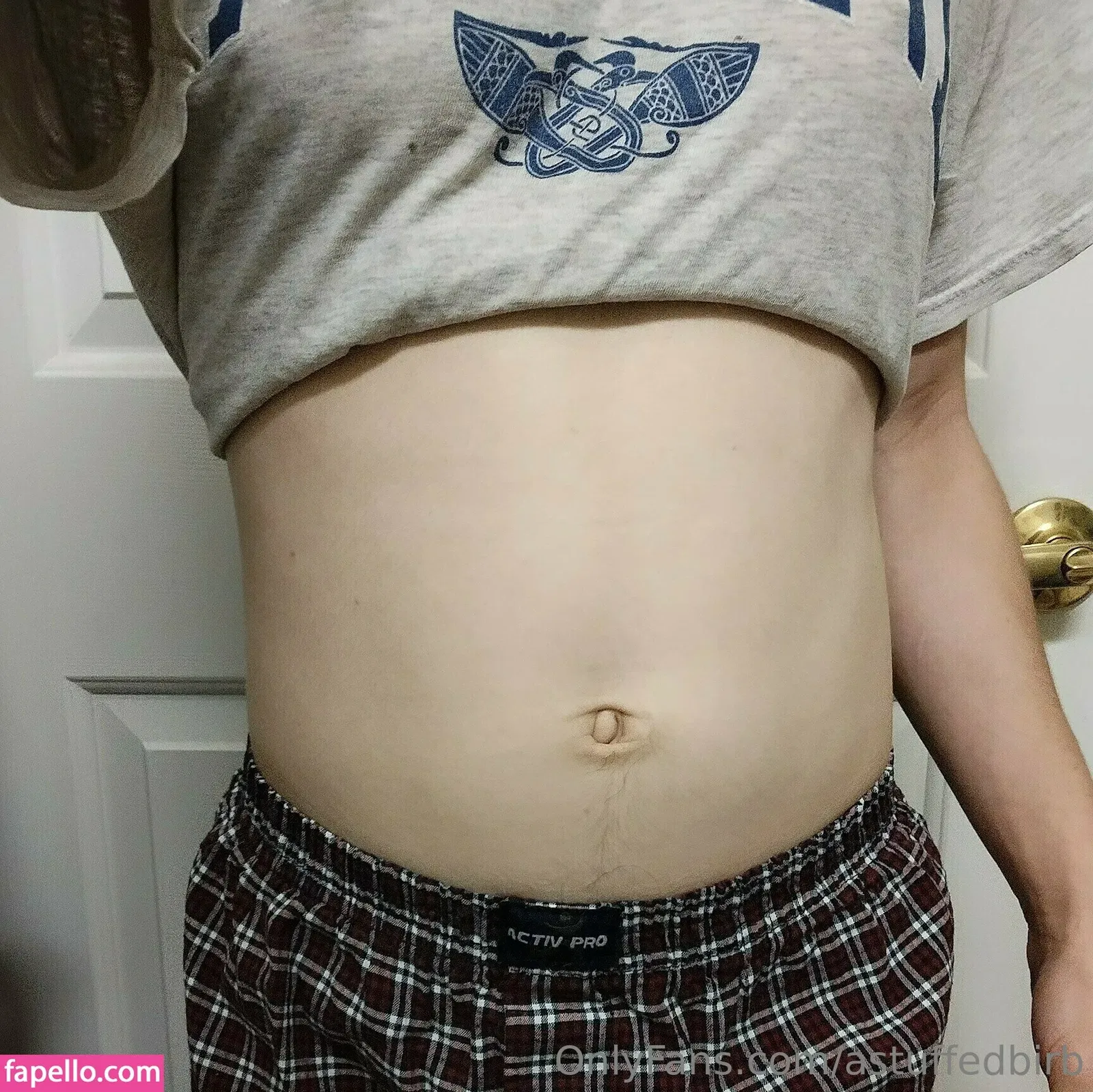 astuffedbirb / birdyinstagram Onlyfans Photo Gallery 