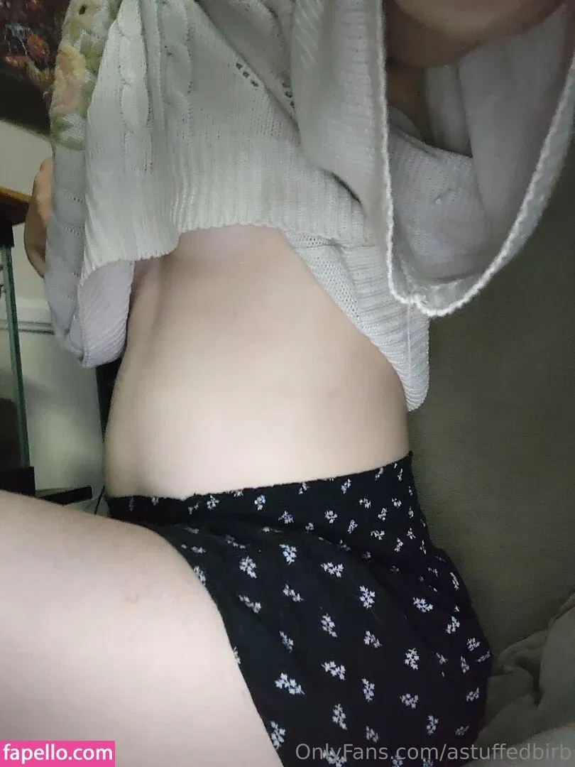 astuffedbirb / birdyinstagram Onlyfans Photo Gallery 